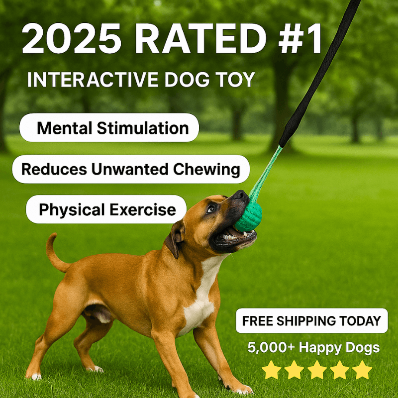 FurrFriendz™ Tug n' Play