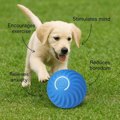 FurrFriendz™ Interactive Bundle
