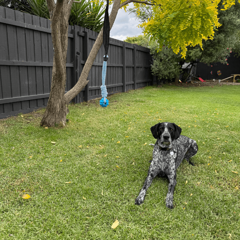 FurrFriendz™ Tug n' Play Replacement Rope