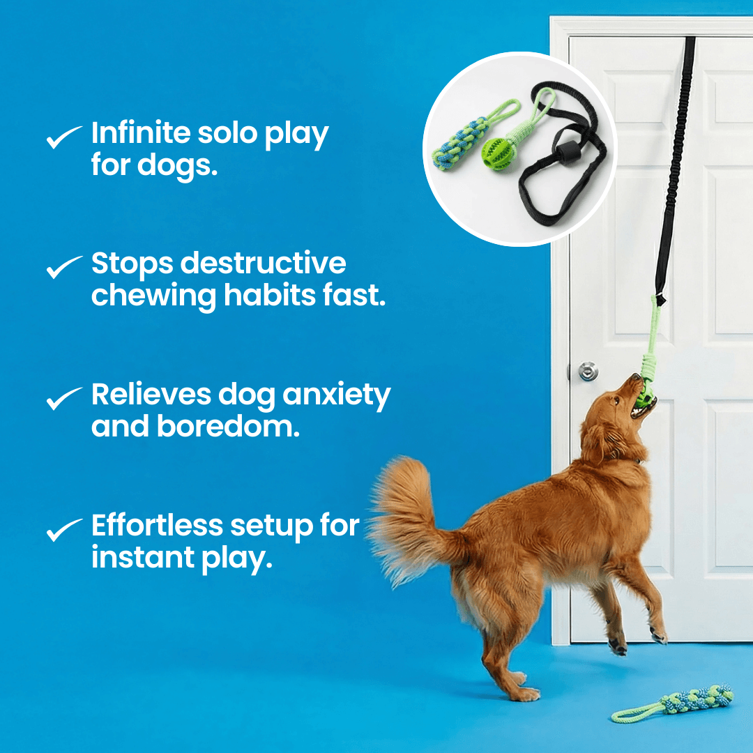 FurrFriendz™ Tug n' Play