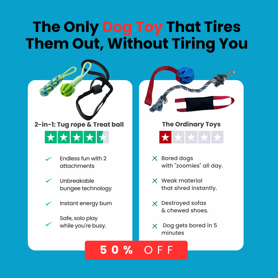 FurrFriendz™ Tug n' Play