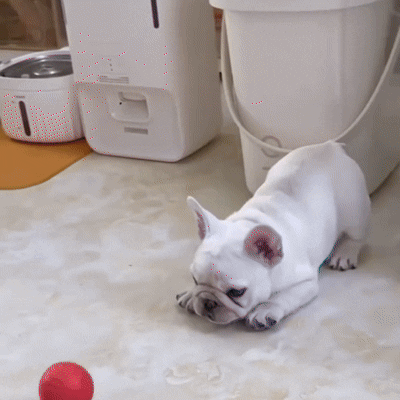 FurrFriendz™ Bounce 'n Glow Ball