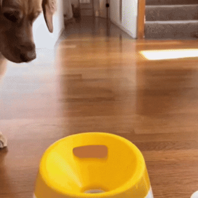 FurrFriendz™ FetchMate